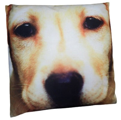 Labrador Close Up Cushion
