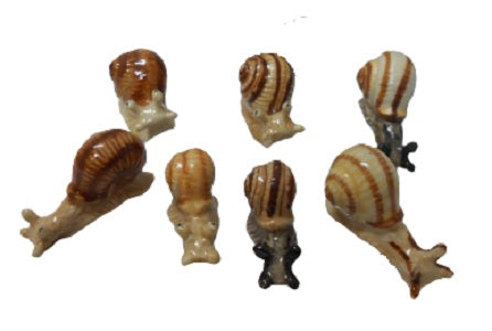 Snails set 7