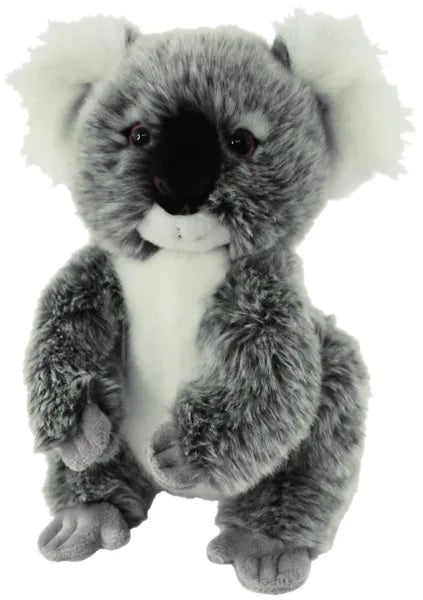 image Koala Jarrah 30cm