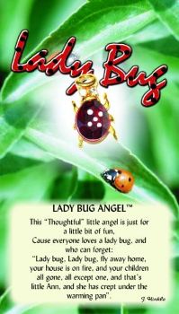image Lady Bug Angel