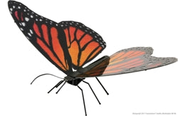 image Metal earth Monarch Butterfly model kit