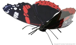 image metal earth Red Admiral Butterfly  ModelKit