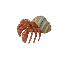 image Hermit Crab Spiral round Shell ceramic miniature Figurine