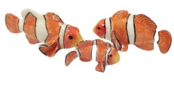 Clown fish Set 3 ceramic porcelain Figurine