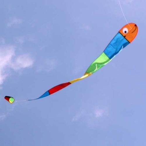 Windspeed wilma the worm kite