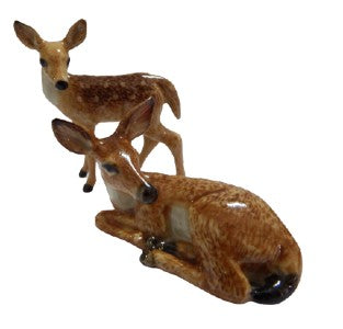 White Tailed Deer 2 Pc set