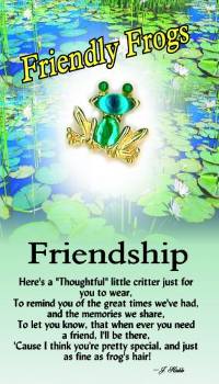 image Friendship frog Angel pin brooch