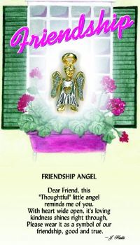 image Friendship Guardian Angel Pin
