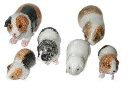 Guinea Pig  Family Set  6