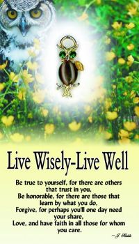 image Live Wisely Live Well guardian Angel