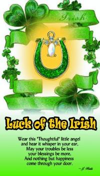 image Luck of the Irish Angel pin Brooch