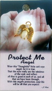 image Protect Me Guardian Angel Pin