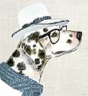 Dalmation Hat Dog canvas Print