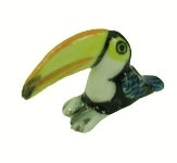Horn Bill Bird