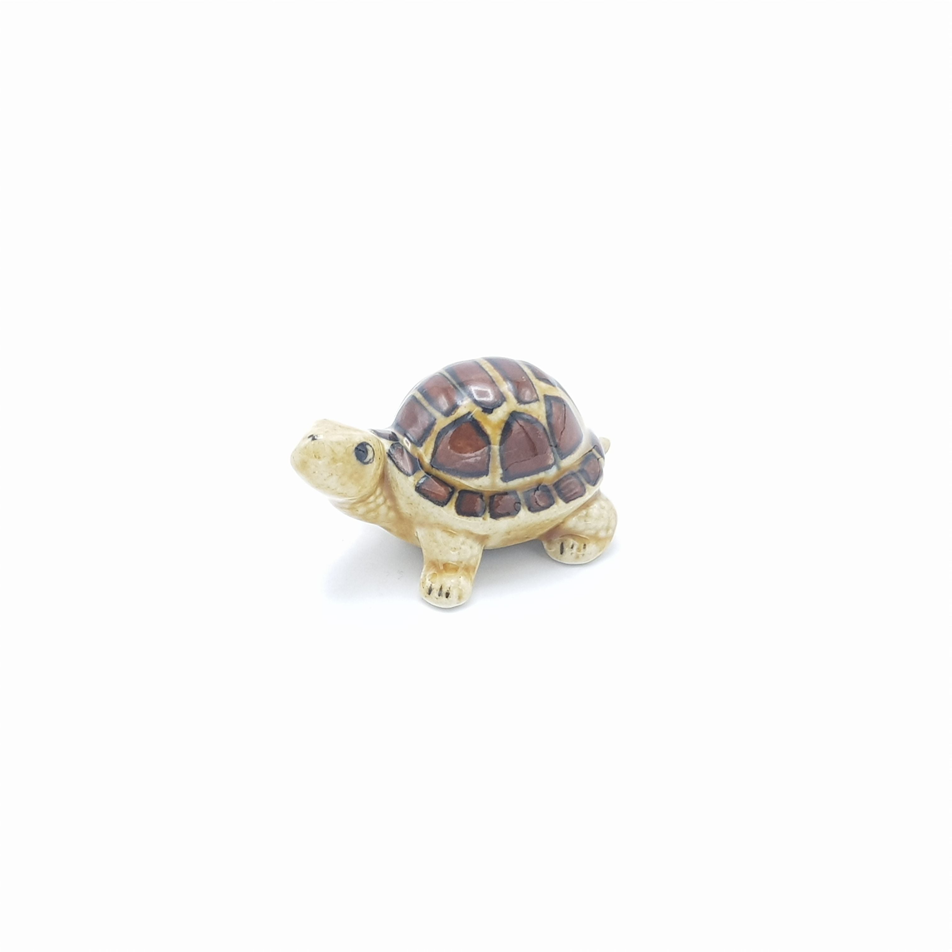 Brown Shell Tortoise – Giftaffaire