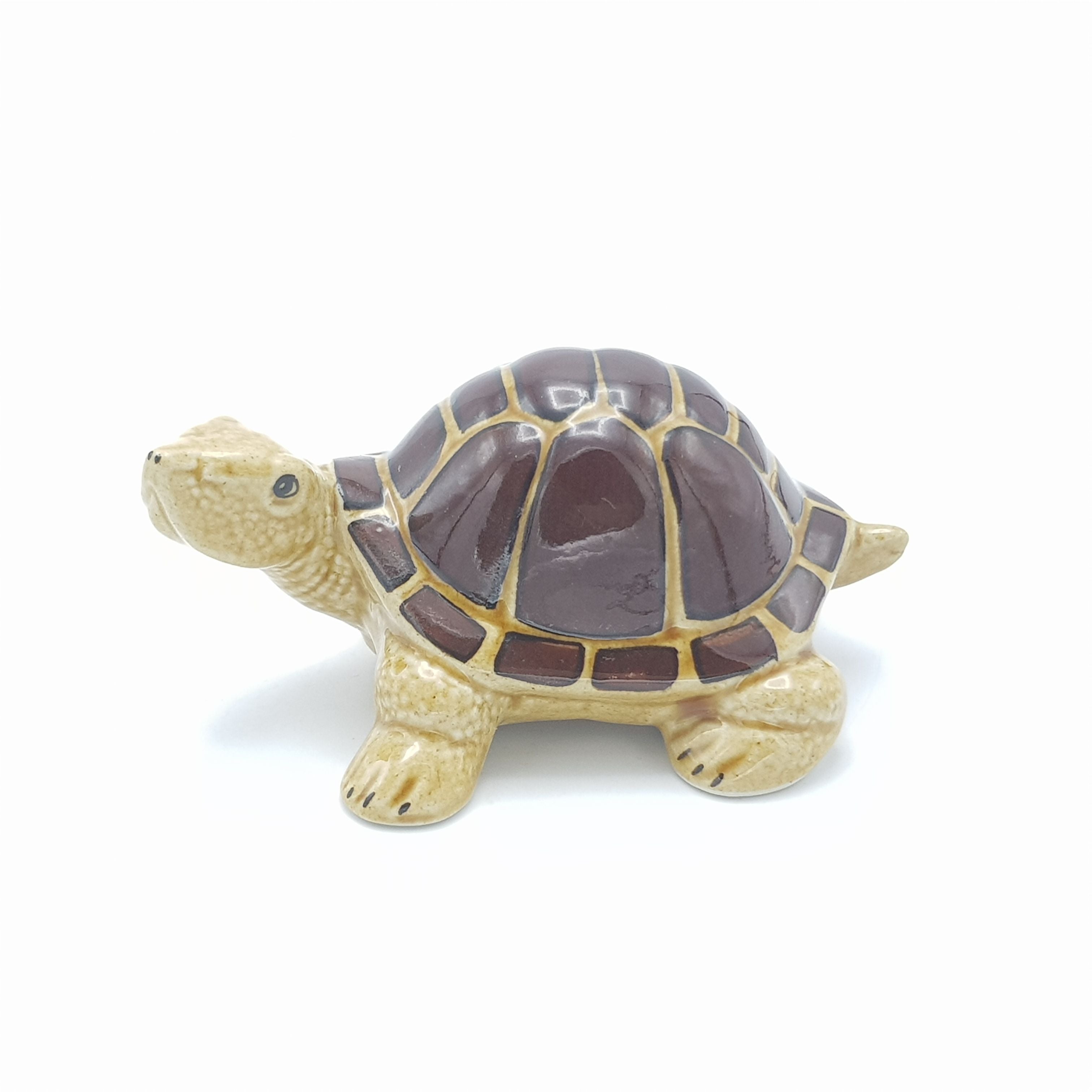 Brown Tortoise Large – GiftAffaire