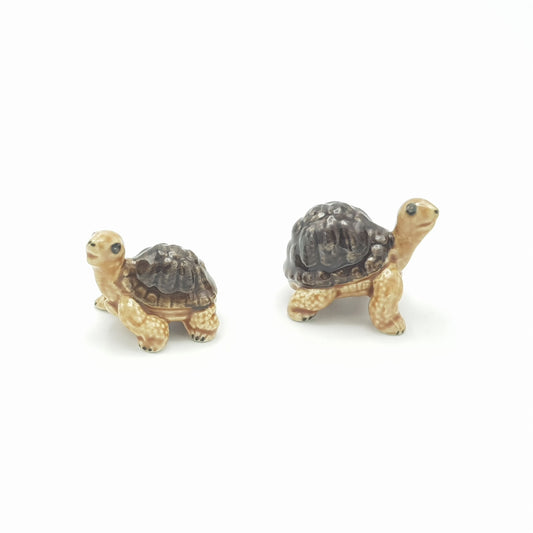 tortoise small set of 2